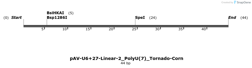 308309_map