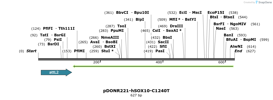 30831_map
