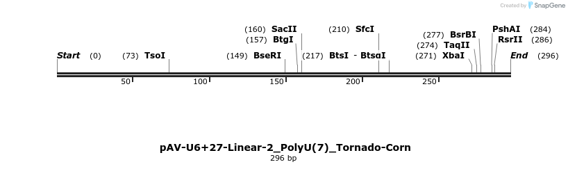 308310_map