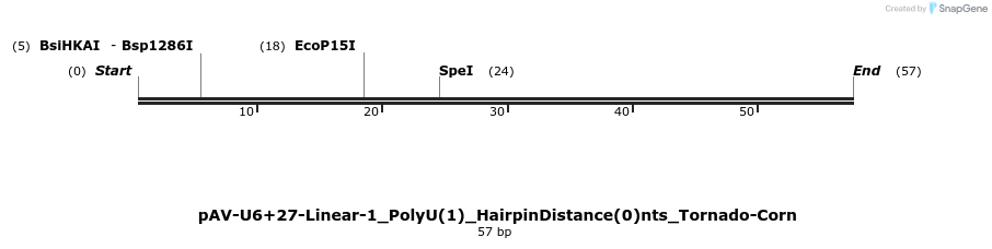 308315_map