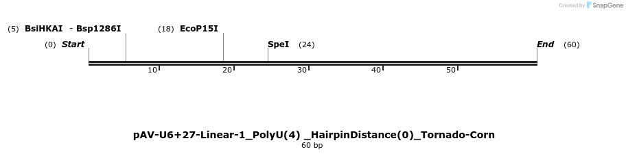 308318_map