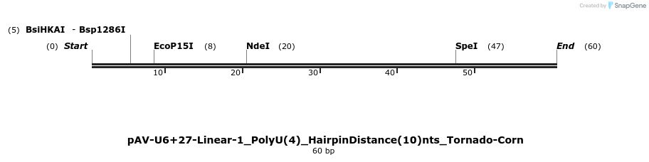 308324_map