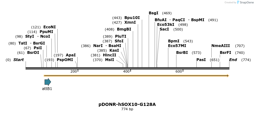 30833_map
