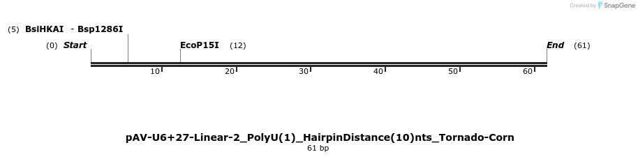 308333_map