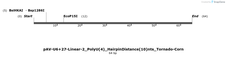 308336_map