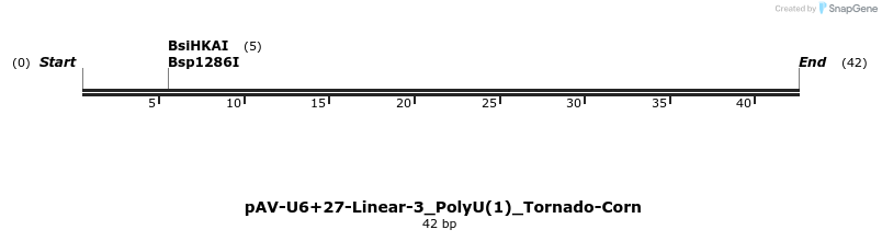 308339_map
