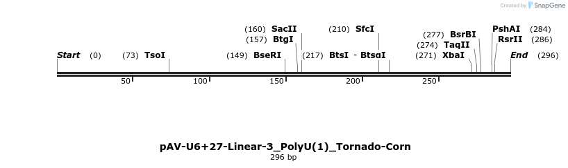 308340_map