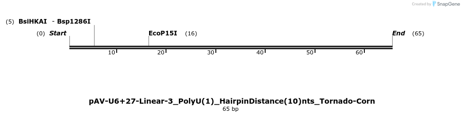 308342_map