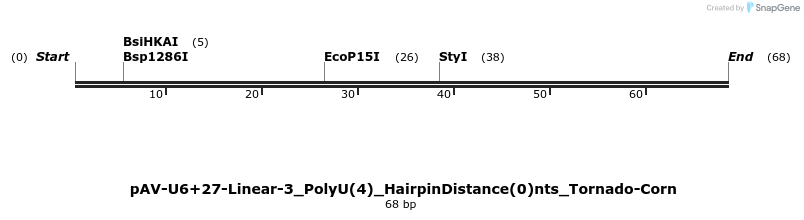 308354_map