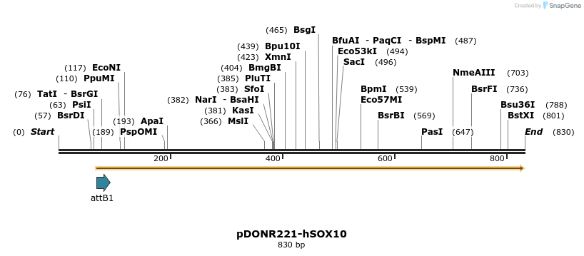 30836_map