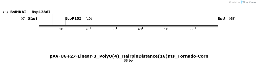 308363_map