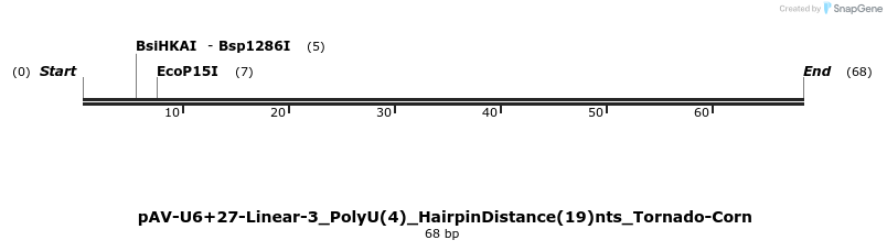 308372_map
