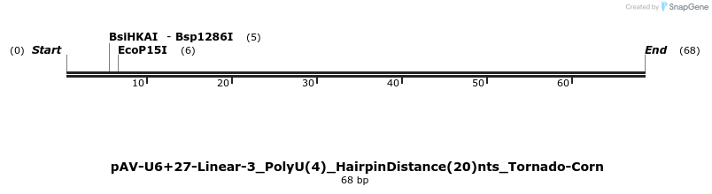308375_map
