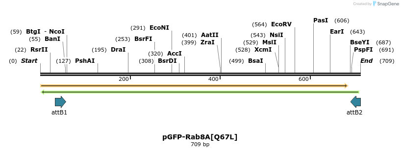 30838_map