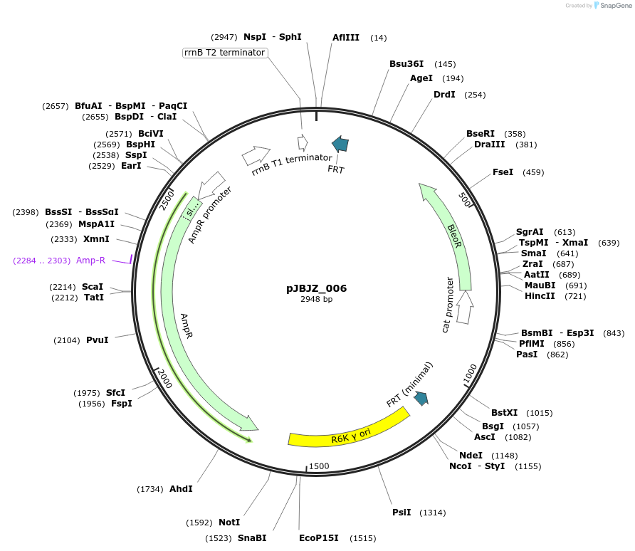 308428_map