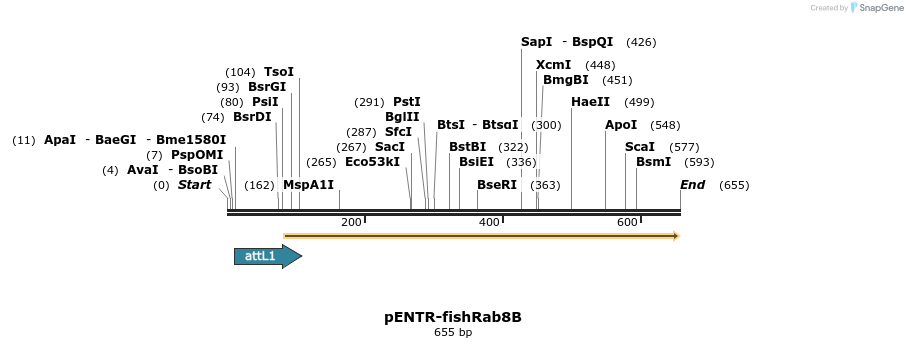 30843_map