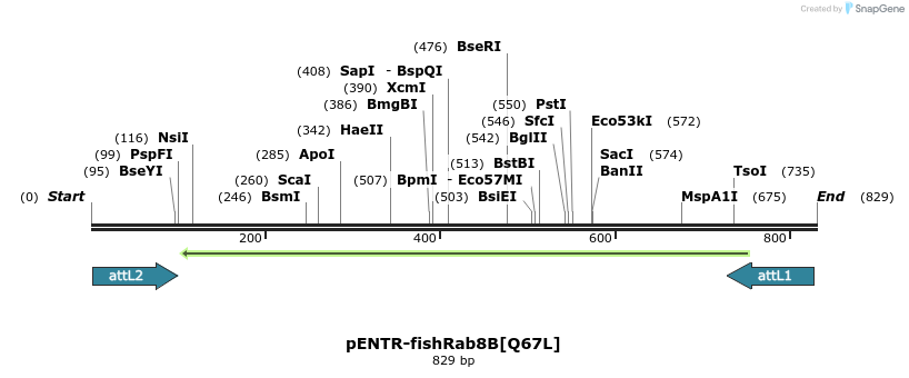 30844_map