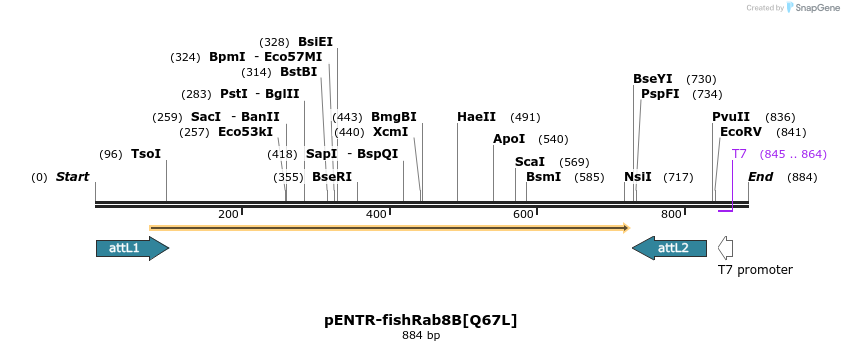 30845_map