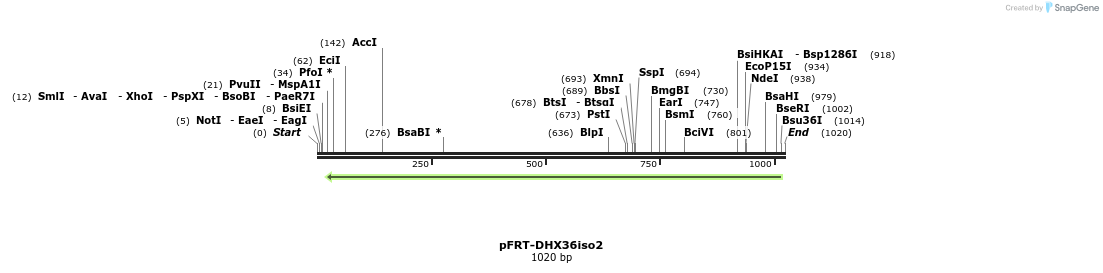 308558_map