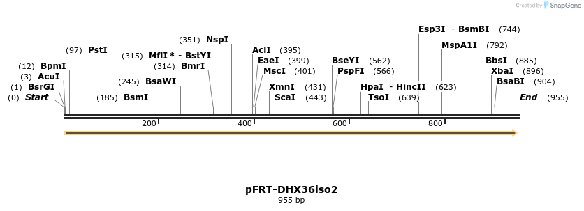 308559_map