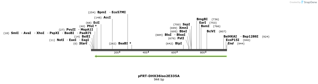 308562_map