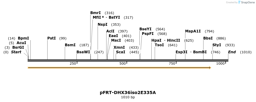 308563_map