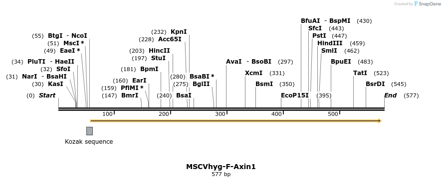 30858_map