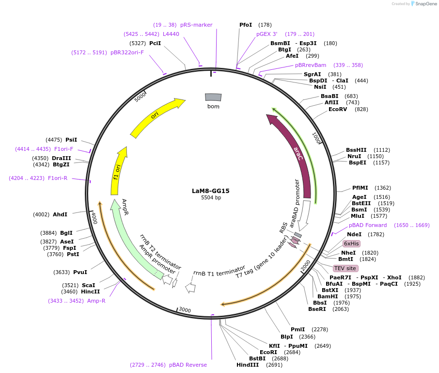 308601_map