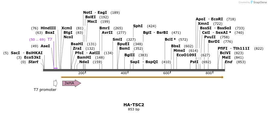 30862_map