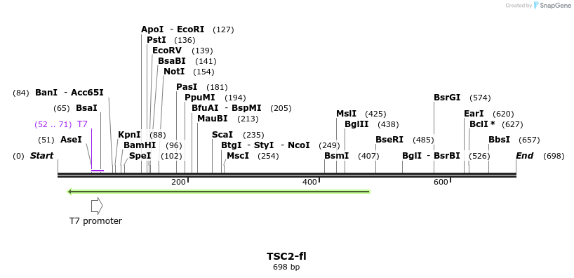 30863_map