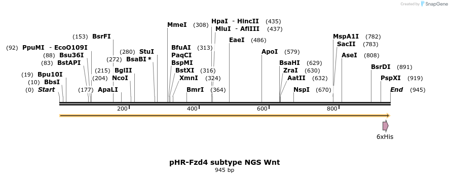 308634_map