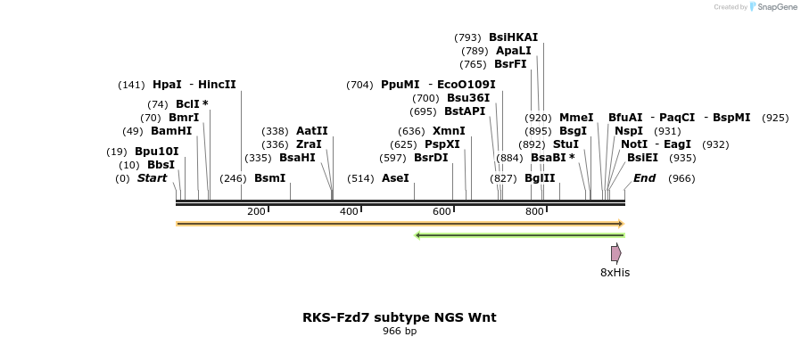 308638_map