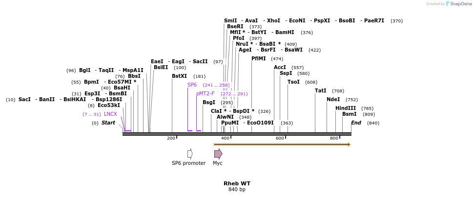 30864_map