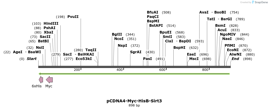30866_map