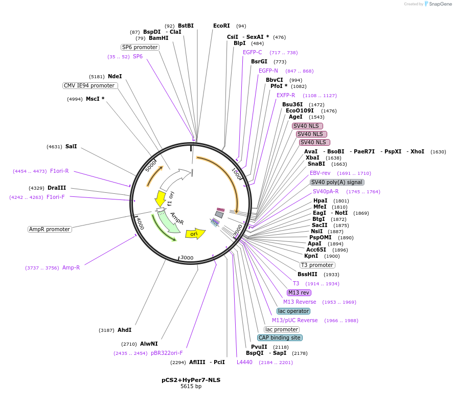 308715_map