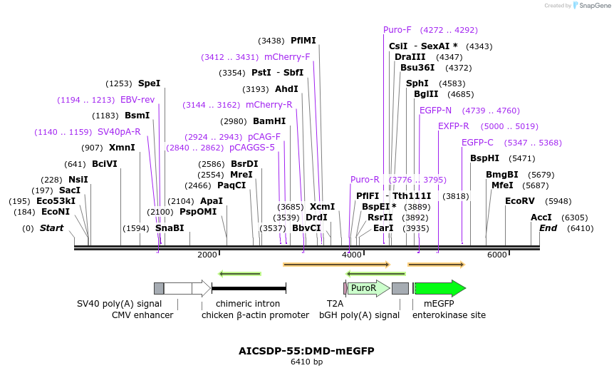 309001_map