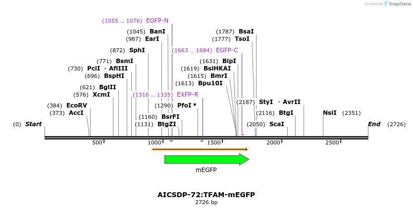 309002_map