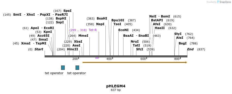 30902_map