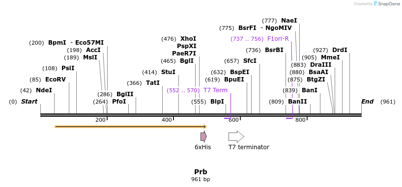30904_map