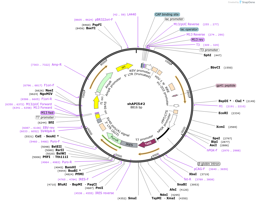 309052_map