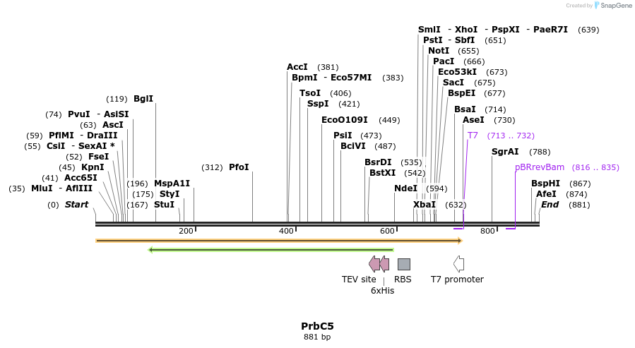 30906_map