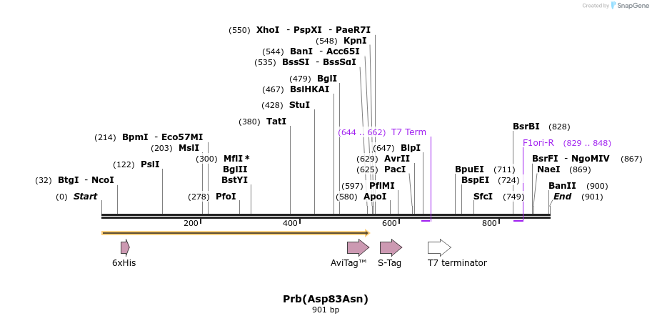 30909_map