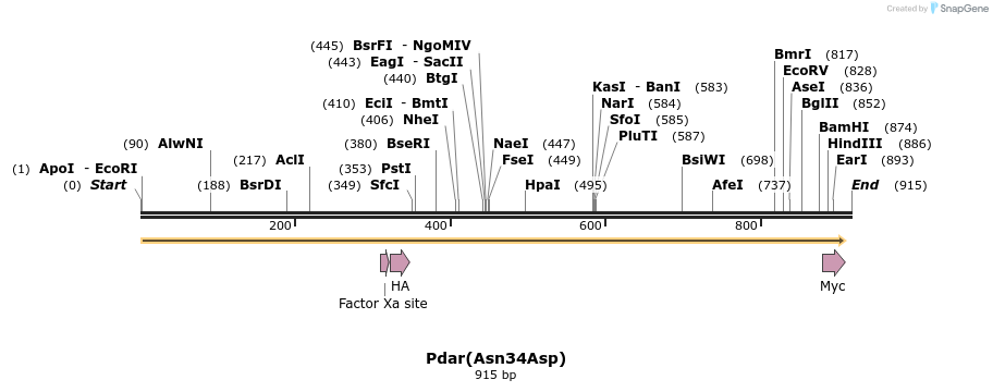 30910_map