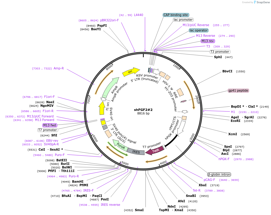 309107_map