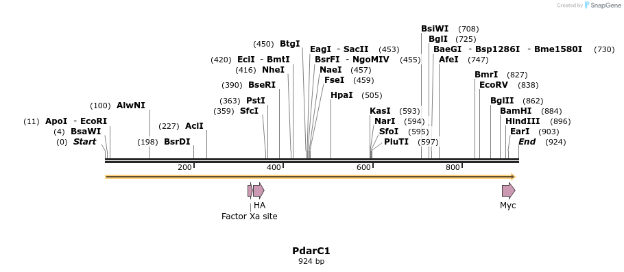 30911_map