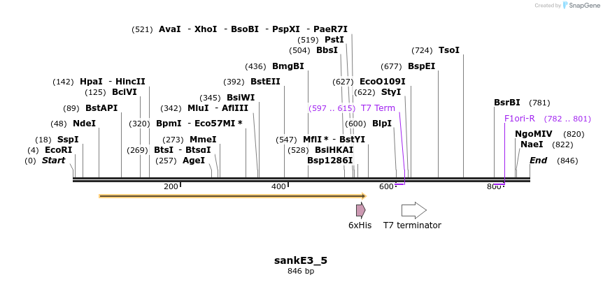 30912_map