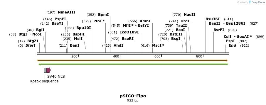 30913_map