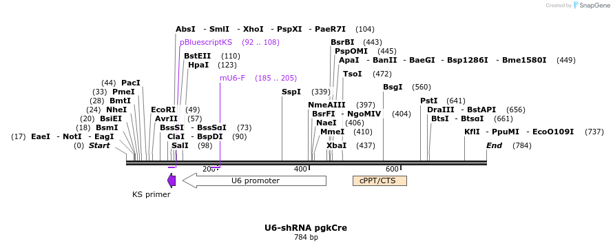 30915_map