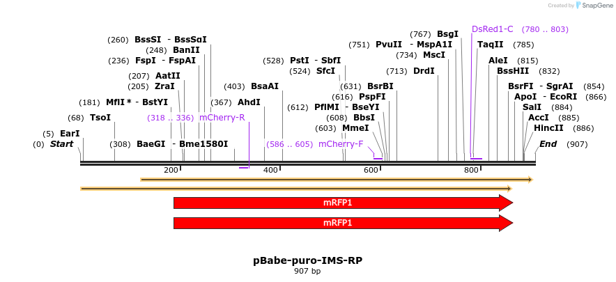 30916_map