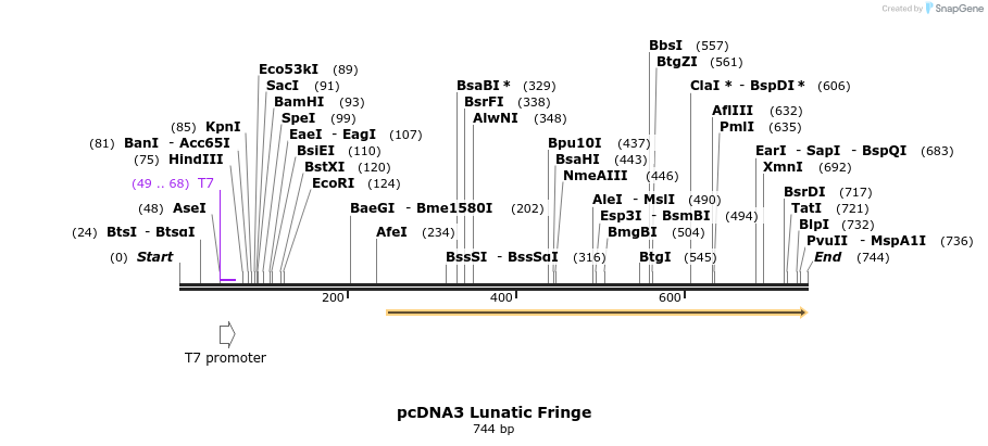 30925_map